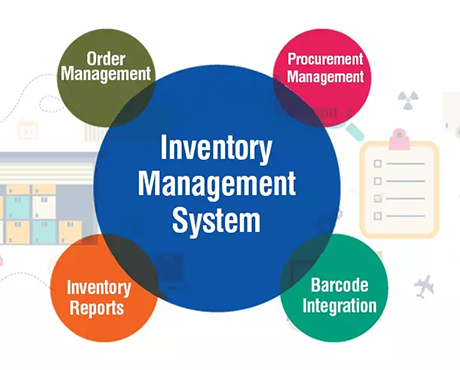 Web Development, Mobile App Development, Graphic Design, NSM Limited