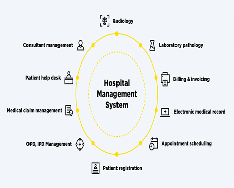Web Development, Mobile App Development, Graphic Design, NSM Limited